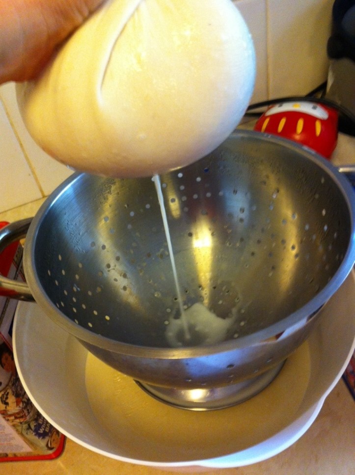 20150404-192931.jpg
